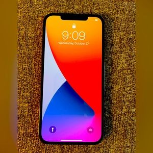 NEW Apple IPhone 12Pro Max